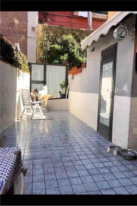 Napoli Centro Casa Con Due Camere E Cucina エクステリア 写真